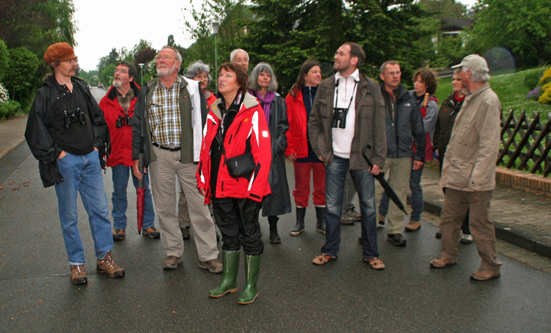 Vogelstimmenwanderung am Elmrand